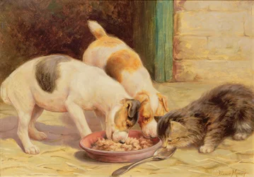 夕食